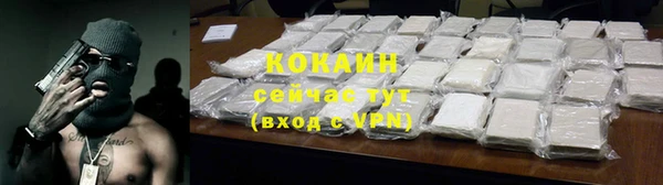 спиды Каменногорск