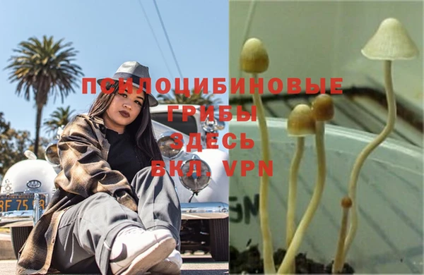 первитин Карталы