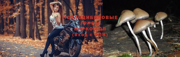 альфа пвп VHQ Каменка