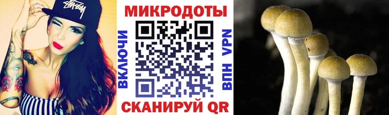 Псилоцибиновые грибы GOLDEN TEACHER  Кириллов 